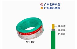 NH-BV珠江电缆