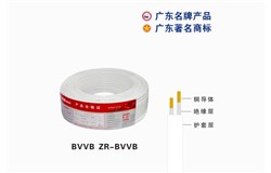 BVVB ZR-BVVB珠江电缆